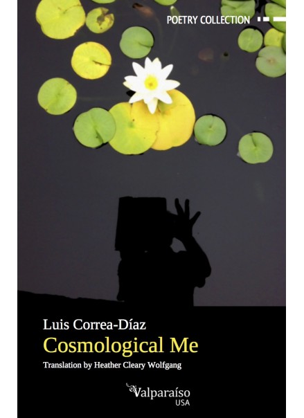 10. Cosmological Me