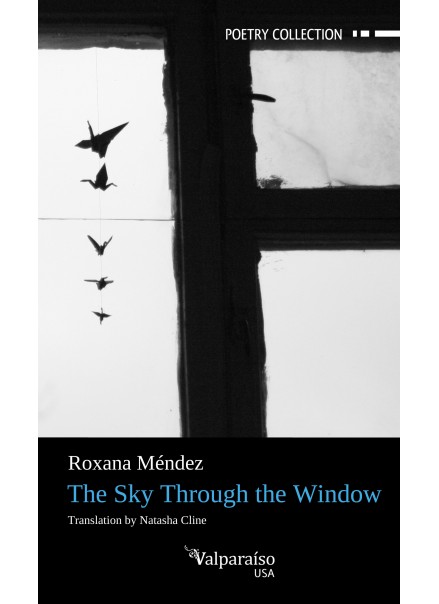 14. The sky through the window