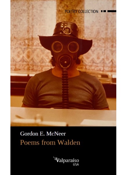 38. Poems from Walden